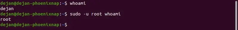دستور whoami